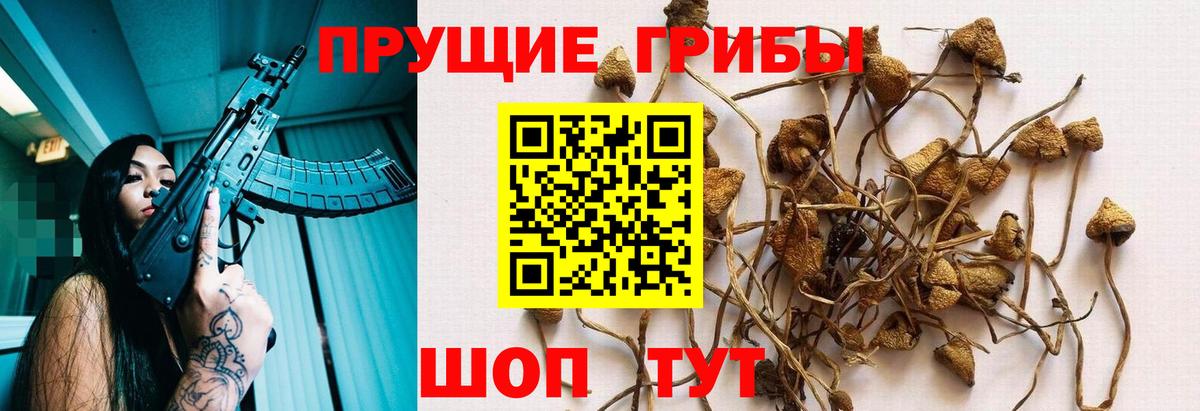 Галлюциногенные грибы MAGIC MUSHROOMS  Вход с VPN  Ялта 