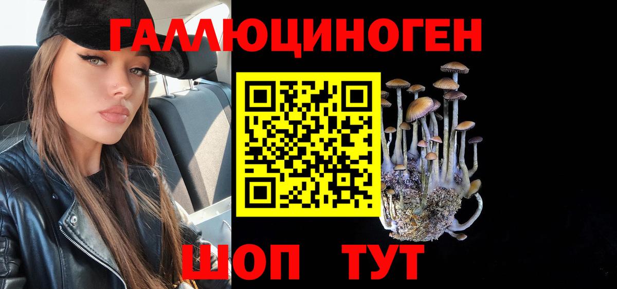 Псилоцибиновые грибы Cubensis Ялта